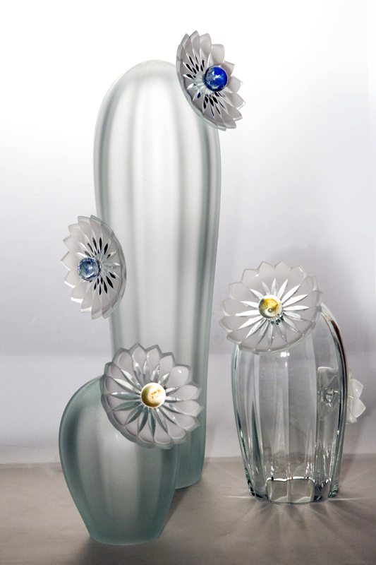 Taisiia Fokina_CACTUS